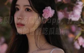17吃瓜官网app，打造永不迷路的智能吃瓜助手