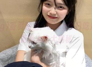 首页精选：51cg今日吃瓜动漫游戏人物大揭秘
