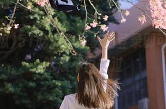 51吃瓜今日必吃登录即可，轻松吃瓜不再错过