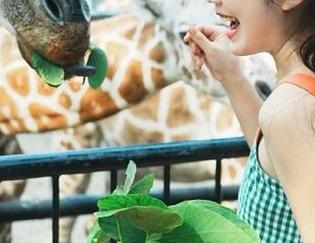 66吃瓜网吃瓜黑料不容错过的观看线路推荐