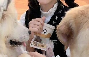 朝阳群众每日吃瓜网登录直达高速入口解析