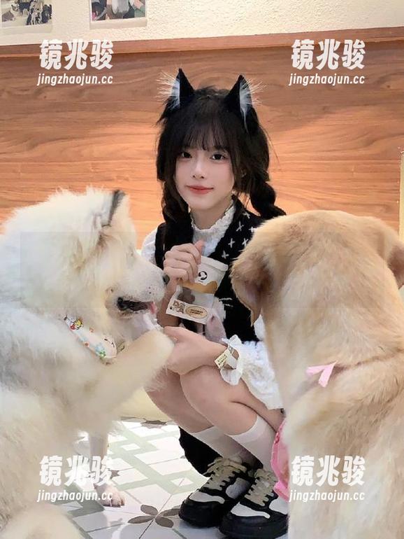 朝阳群众每日吃瓜网登录直达高速入口解析