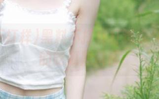 黑料不打样打造永久不间断的吃瓜黑料库