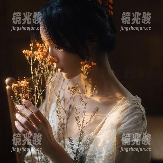 黑料不打烊在线观看官网导航，动漫游戏爱好者必备平台