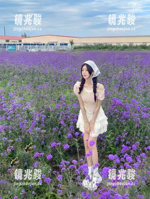 黑料社独家爆料：苹果版平台上流传的那些不为人知的黑料真相！